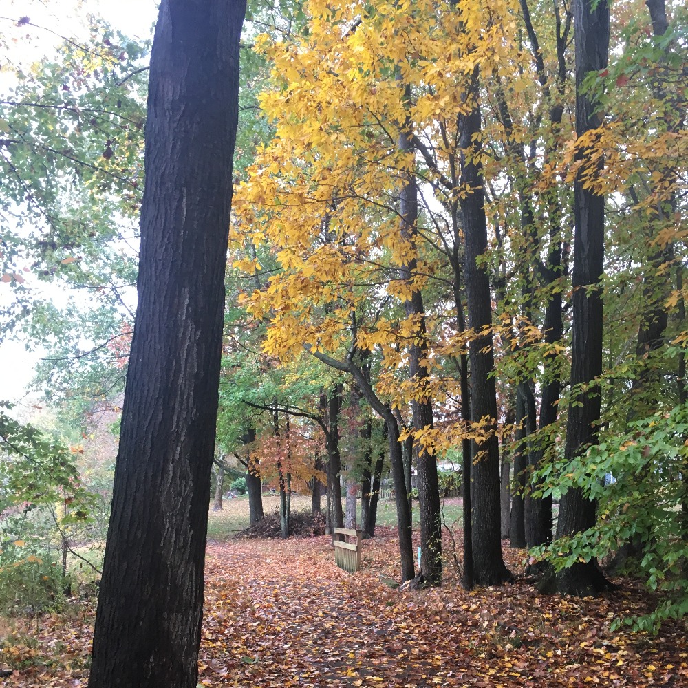 Meet your Posher, Lorr